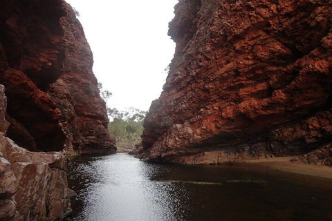 West MacDonnell Ranges Half - Day Tour - Tourism Cairns 4