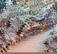 West MacDonnell Ranges Half-Day Private Charter Guided Tour - Tourism Cairns