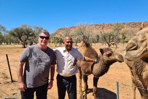 West MacDonnell Ranges Half-Day Small-Group Tour With Camel Ride - Tourism Cairns 1
