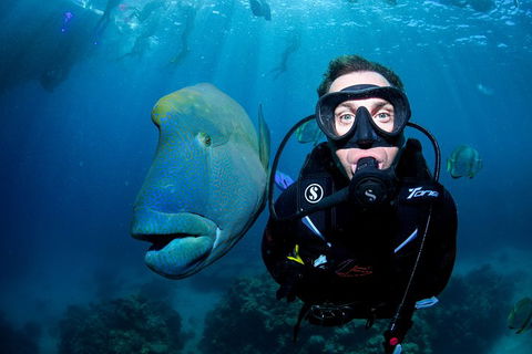 Full Day Reef Cruise Including 10 Minute Heli Scenic Flight: Get High Package - Tourism Cairns 1