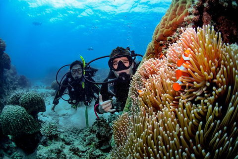Full Day Reef Cruise Including 10 Minute Heli Scenic Flight: Get High Package - Tourism Cairns 5
