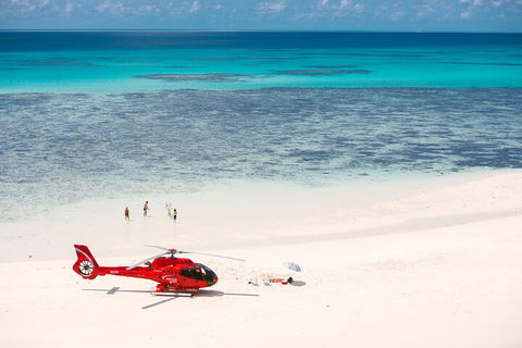 Private Helicopter Tour: Reef Island Snorkeling And Gourmet Picnic Lunch - Tourism Cairns 2