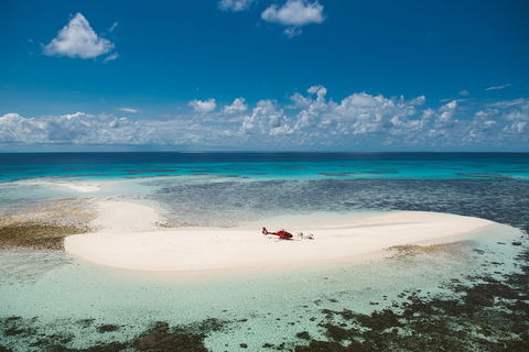 Private Helicopter Tour: Reef Island Snorkeling And Gourmet Picnic Lunch - Tourism Cairns 4
