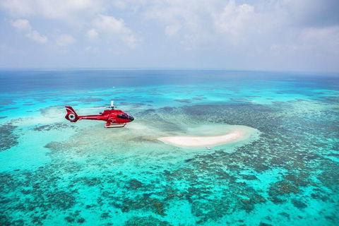 Private Helicopter Tour: Reef Island Snorkeling And Gourmet Picnic Lunch - Tourism Cairns 5