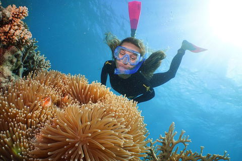 Helicopter And Cruise Packages From Port Douglas - Tourism Cairns 3