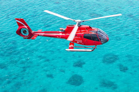 Helicopter And Cruise Packages From Port Douglas - Tourism Cairns 5