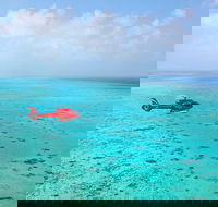 Port Douglas Scenic Flights - Tourism Cairns