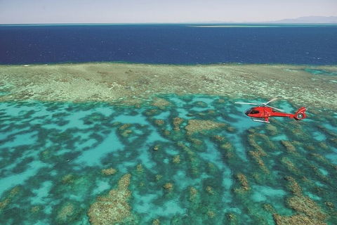 Cruise Out And Cruise Return, Plus 10 Minute Scenic Flight - Tourism Cairns 4