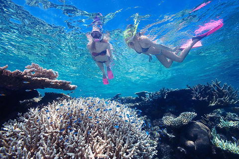 Cruise Out And Cruise Return, Plus 10 Minute Scenic Flight - Tourism Cairns 5