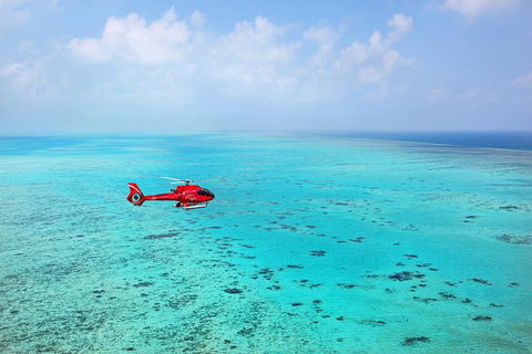 Port Douglas - Cruise And 10 Minute Scenic Flight - Tourism Cairns 1