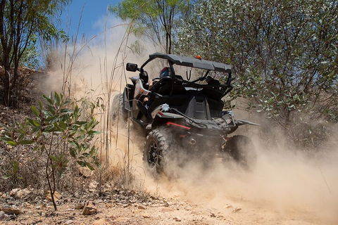 License To Thrill: 1.5 Hour Off-road Tour In Darwin (1 Person: 2 Seater Vehicle) - Tourism Cairns 3
