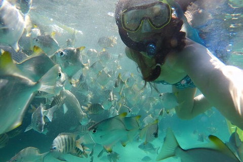 Moreton Island Snorkel And Sandboarding 4WD Day Trip From Brisbane - Tourism Cairns 3