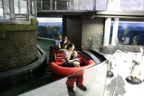 Sydney Attractions Pass: SEA LIFE Aquarium, Sydney Tower Eye, WILD LIFE Zoo And Madame Tussauds - Tourism Cairns 0