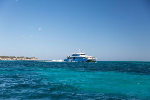 Fremantle To Rottnest Island Roundtrip Ferry Ticket - Tourism Cairns 5