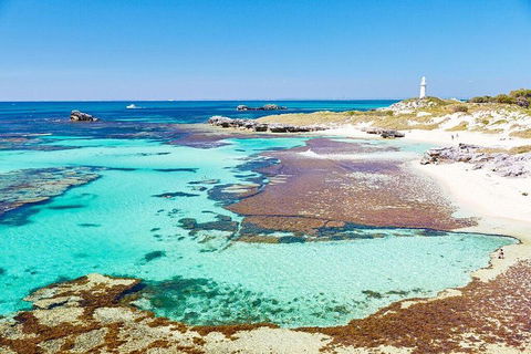 Rottnest Island All-Inclusive Grand Island Tour From Fremantle - Tourism Cairns 1