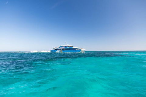 Rottnest Island Bike & Ferry Package From Fremantle - Tourism Cairns 0