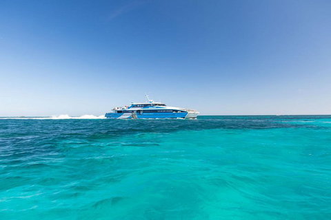 Rottnest Island Bayseeker Day Trip From Perth - Tourism Cairns 0