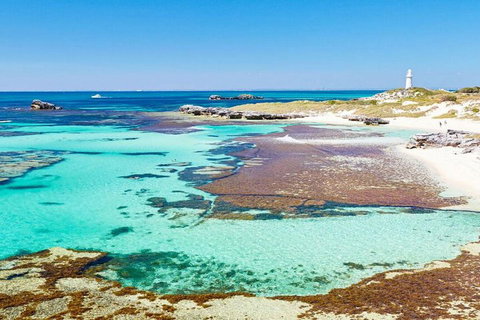 Rottnest Island Bayseeker Day Trip From Perth - Tourism Cairns 4