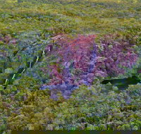 Litchfield Park  Daly River - Scenic Flight From Darwin - Tourism Cairns