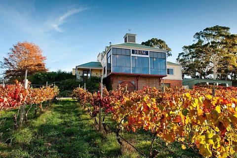Adelaide Hills Food, Wine, Cheese, & Chocolate - Private Day Tour - Tourism Cairns 3
