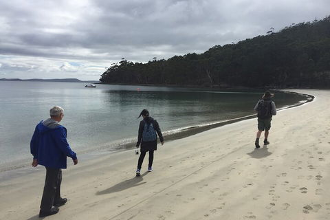 Small-Group Day Trip From Hobart To Bruny Island - Tourism Cairns 1