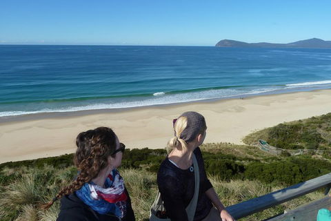 Small-Group Day Trip From Hobart To Bruny Island - Tourism Cairns 3