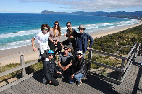 Small-Group Day Trip From Hobart To Bruny Island - Tourism Cairns 4