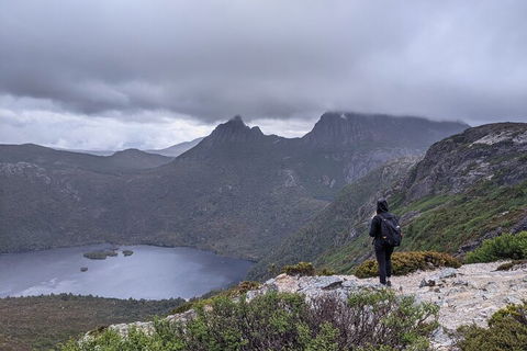 5-Day Best Of Tasmania Tour From Hobart - Tourism Cairns 3