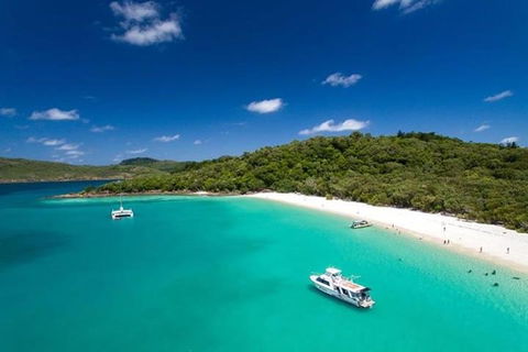 Whitehaven Beach And Hill Inlet | Awesome Beach BBQ | Family Friendly - Tourism Cairns 3