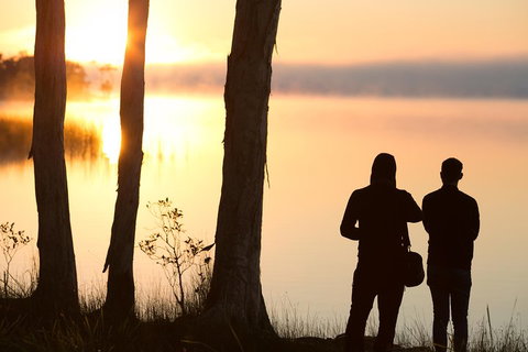 Serenity Cruise To Australia's Everglades - Tourism Cairns 5