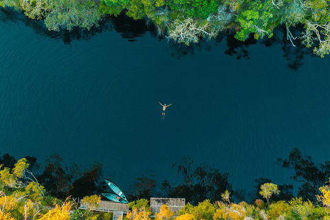 Cruise 'n' Canoe To Australia's Everglades - Tourism Cairns 2