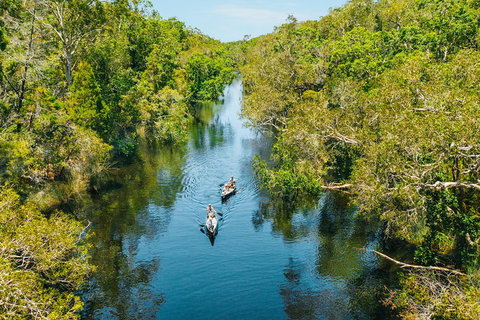 Cruise 'n' Canoe To Australia's Everglades - Tourism Cairns 3