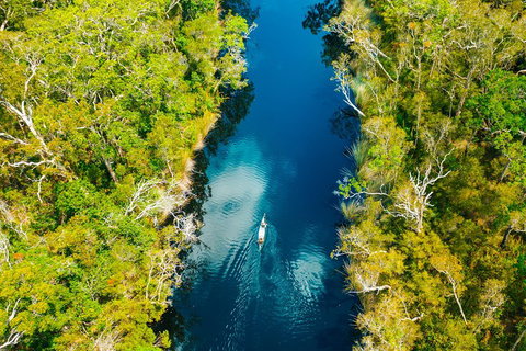 Cruise 'n' Canoe To Australia's Everglades - Tourism Cairns 4