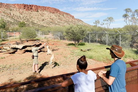 Alice Springs Desert Park General Entry Ticket - Tourism Cairns 4