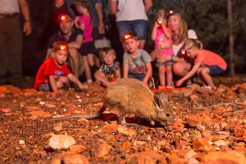 Alice Springs Desert Park Nocturnal Tour - Tourism Cairns 1