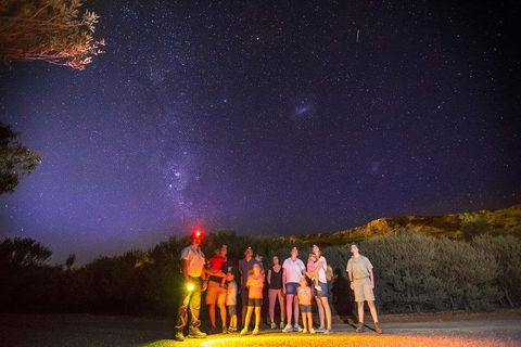Alice Springs Desert Park Nocturnal Tour - Tourism Cairns 2