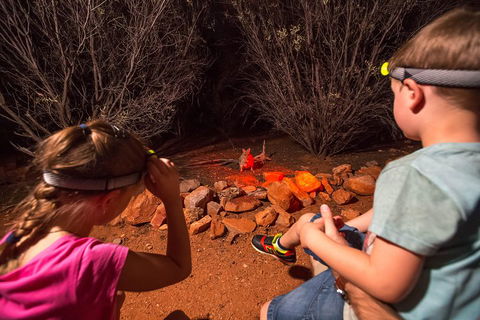 Alice Springs Desert Park Nocturnal Tour - Tourism Cairns 4