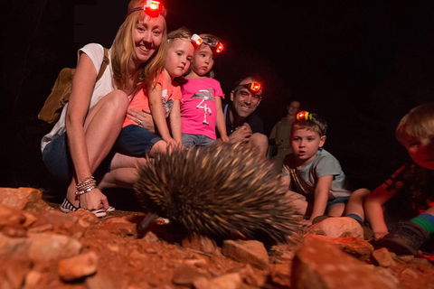Alice Springs Desert Park Nocturnal Tour - Tourism Cairns 5