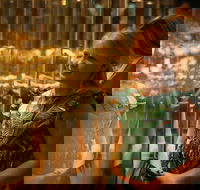 The Perth Mint Guided Heritage Tour and Gold Pour - Tourism Cairns