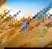 Full-Day Pinnacles Desert and Yanchep National Park Tour From Perth - Tourism Cairns