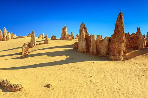 Full-Day Pinnacles Desert And Yanchep National Park Tour From Perth - Tourism Cairns 2