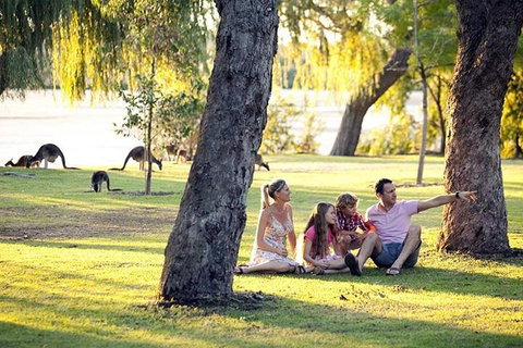 Full-Day Pinnacles Desert And Yanchep National Park Tour From Perth - Tourism Cairns 3