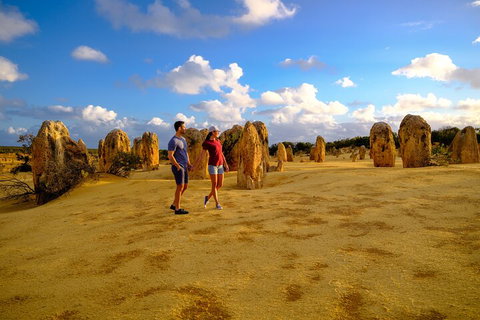 Full-Day Pinnacles Desert And Yanchep National Park Tour From Perth - Tourism Cairns 4