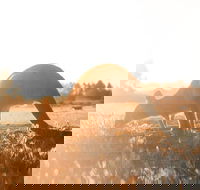 Small Group - 12 Apostles Otways  Great Ocean Road Day Tour from Melbourne - Tourism Cairns