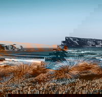 Small Group - Phillip Island Hike  Penguin Parade Day Tour from Melbourne - Tourism Cairns