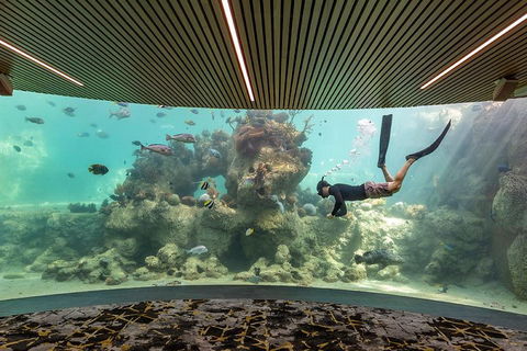Whitehaven Beach And Daydream Island Cruise - Tourism Cairns 4