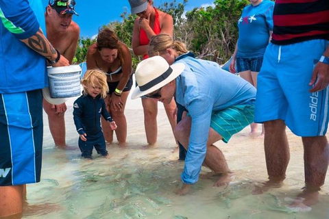 Whitehaven Beach And Hamilton Island Cruise - Tourism Cairns 1