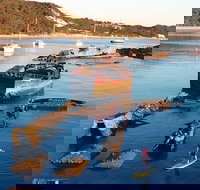 Adventure Moreton Island Wrecks Adventure Package - Tourism Cairns