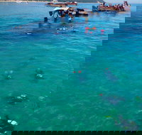 Adventure Moreton Island Scuba Dive Tour - Tourism Cairns