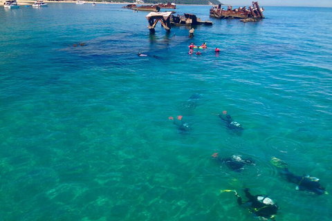 Adventure Moreton Island Scuba Dive Tour - Tourism Cairns 0